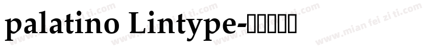 palatino Lintype字体转换